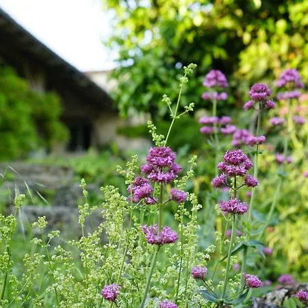 Deer House Landhaus Coutures (Dordogne)